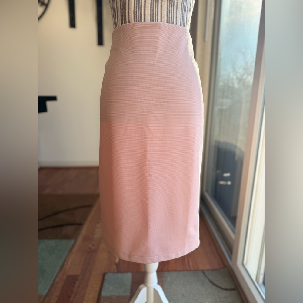 Philosophy Blush Pencil Skirt NWT